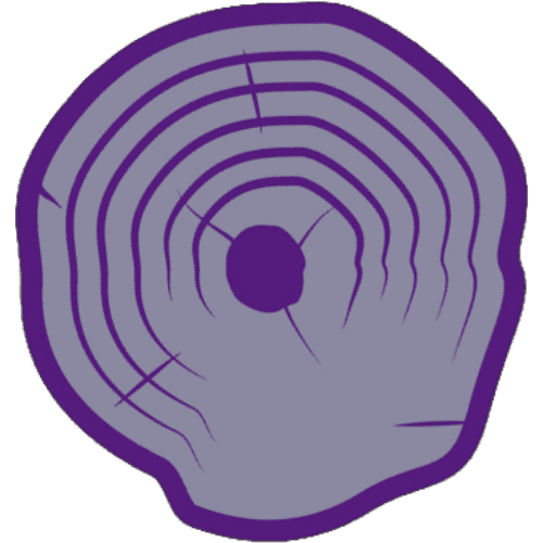 Trunk Tech Solutions Logo